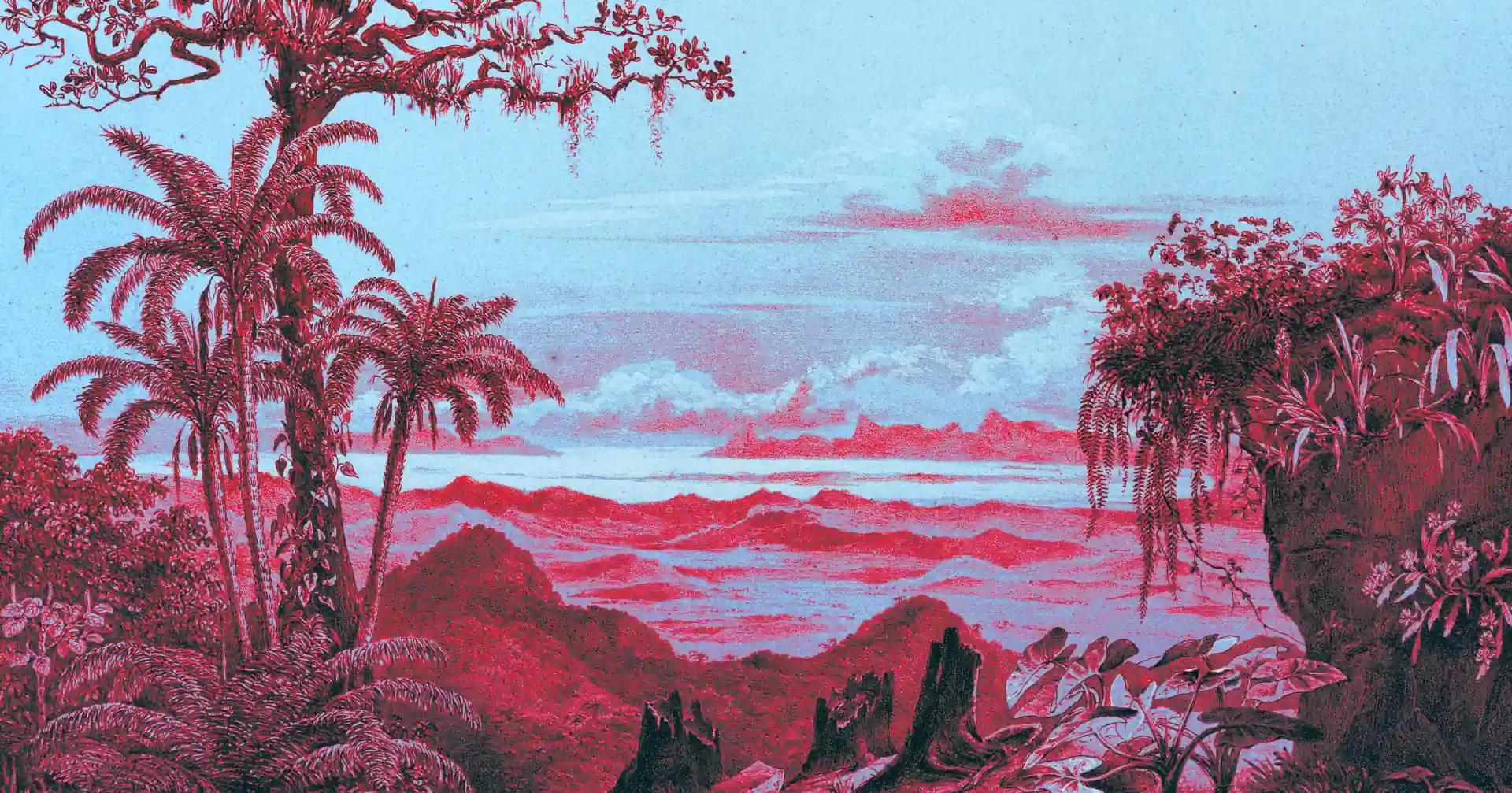 foto-rape-cacao-contenido-1920px