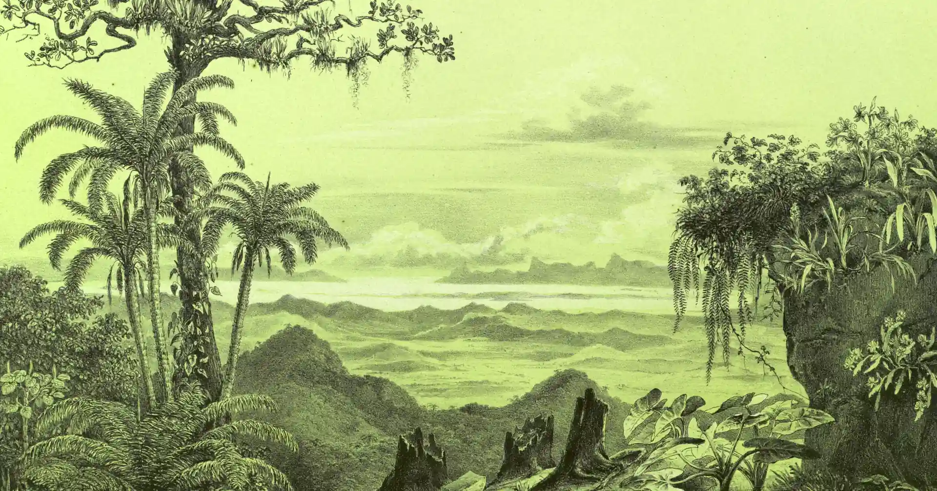 foto-rape-chacruna-contenido-1920px