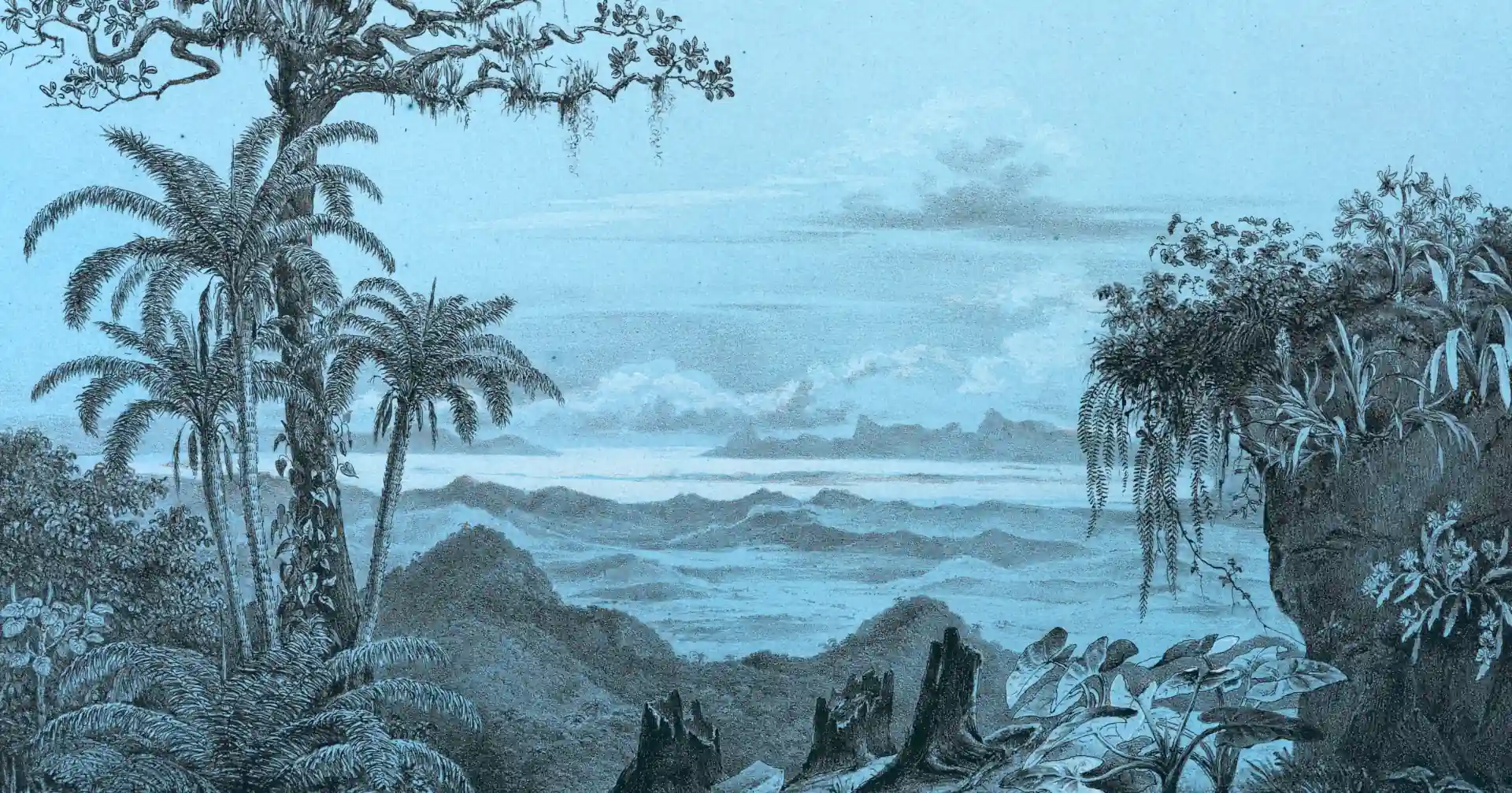 foto-rape-mulateiro-contenido-1920px