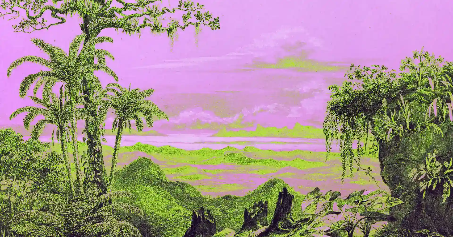 foto-rape-parica-contenido-1920px