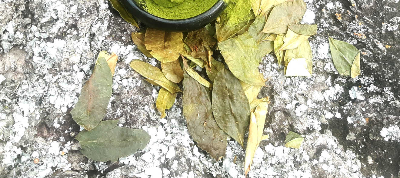 mambe-detalle-producto-mambe-media-parte-inferior-mambe-y-ambil-1320px