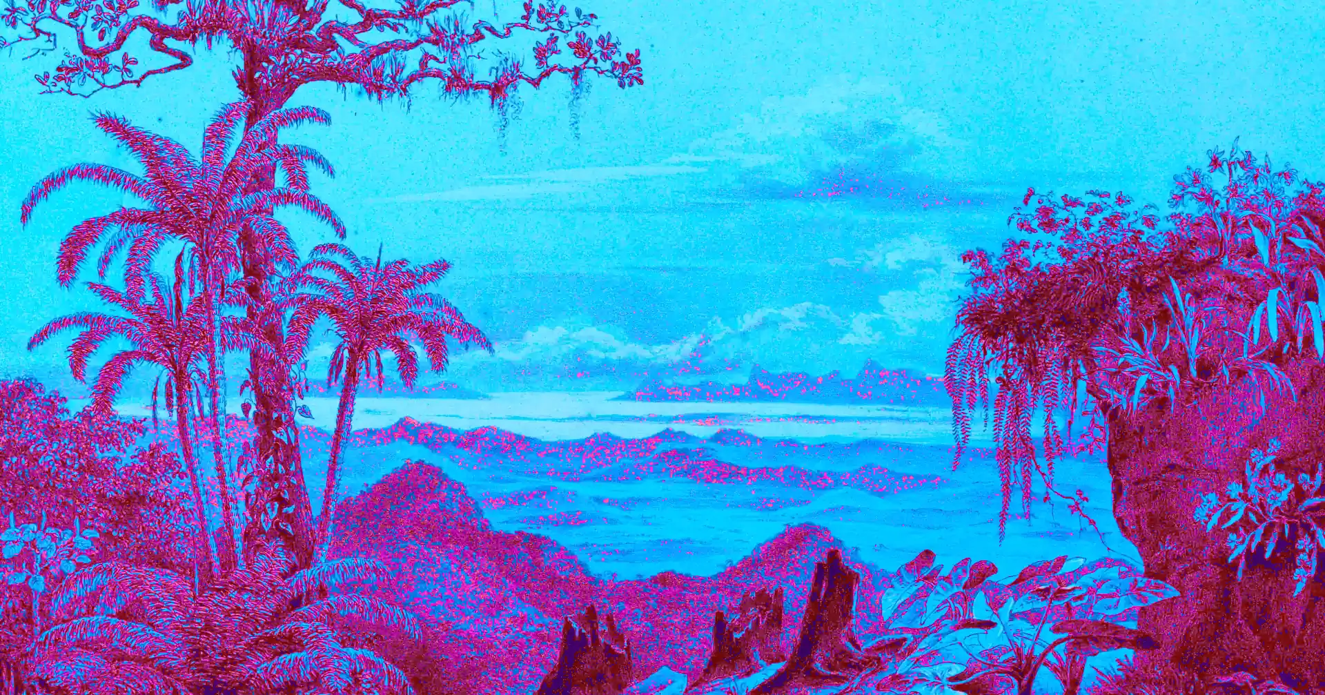 foto-rape-samsara-contenido-1920px